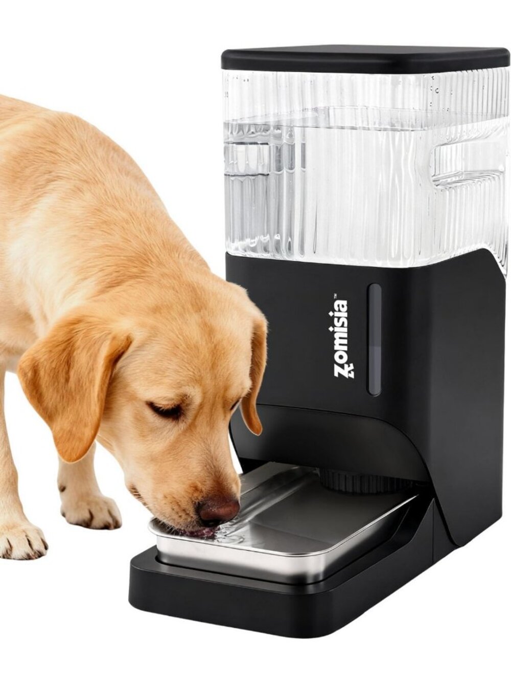 3 Gallon Automatic Dog Water Dispenser - Large Capacity Gravity Feed Bowl